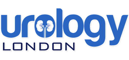 VA Logo Elementor Header